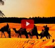 Habeşistan'a Hicret ve Necâşi