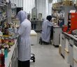 Tayland Helal Ekonominin Merkezi Olmak İstiyor