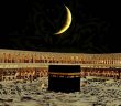 İslam Nedir?
