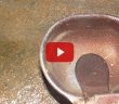 Köpeğin Su İçtiği Kap Kaç Defa Yıkanmalıdır?
