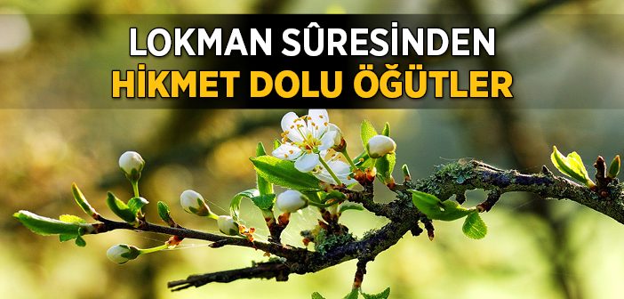 Kur'an'dan Hikmet Yüklü Öğütler