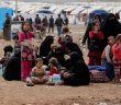 Musul'da 200 Bin Kişi Yerinden Edildi
