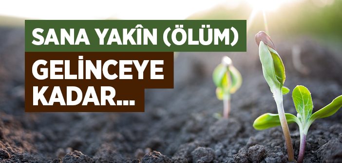 Ölüm Gelinceye Kadar Ne Yapmalı?