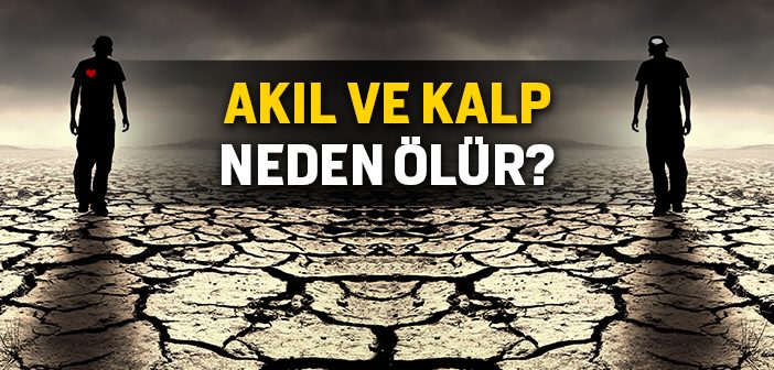 Akıl ve Kalp Neden Ölür?