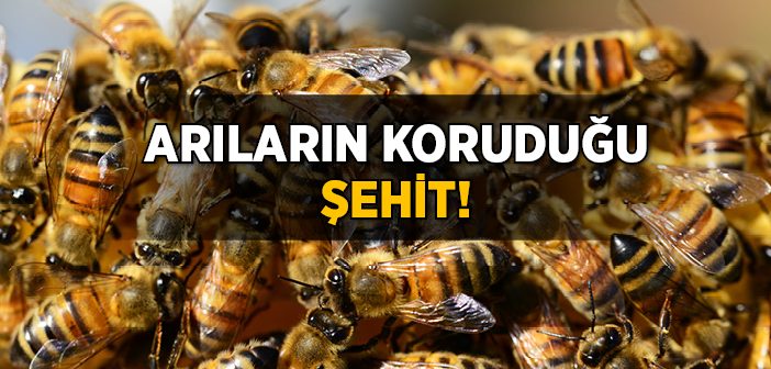 Asım Bin Sabit (r.a.) Kimdir?