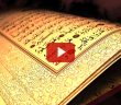 Ayyaş Bin Ebi Rebia (r.a.) Kimdir?