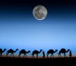 Amir Bin Fuheyre (r.a.) Kimdir?
