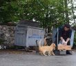 Kediler Onun Yolunu Gözlüyor