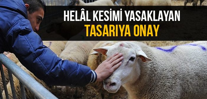 Belçika'da İslami Usullere Göre Hayvan Kesimi Yasaklandı