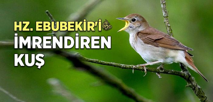 Hz. Ebubekir'in (r.a.) Allah Korkusu