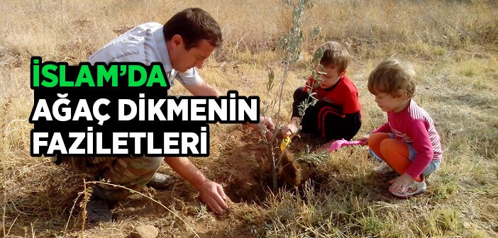 İslam’da Ağaç Dikmenin Sevabı