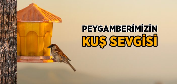 Peygamberimizin Kuş Sevgisi