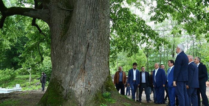 Altı Asırdır Şifa Dağıtıyor