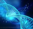 Sigaranın Dna'ya Verdiği Zararın Haritası