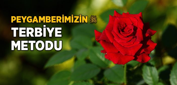 Peygamber Efendimizin Terbiye Metodu