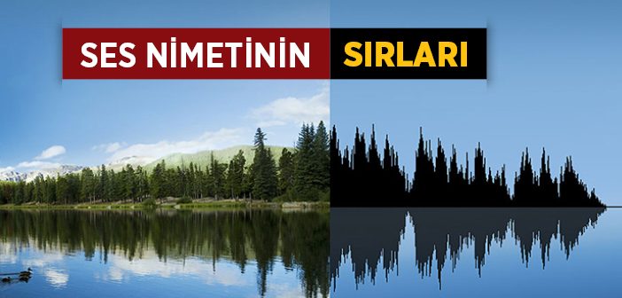 Ses Olmasaydı Ne Olurdu?