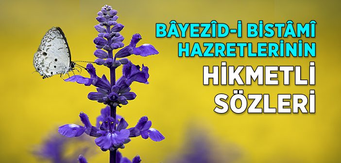 Bâyezîd-i Bistâmî Hazretleri’nin Hikmetli Sözleri