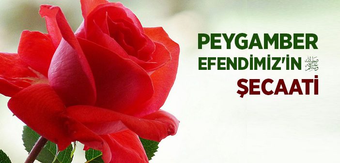 Peygamber Efendimiz'in Şecaati