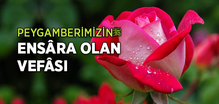 Peygamber Efendimiz'in Ensara Olan Vefası