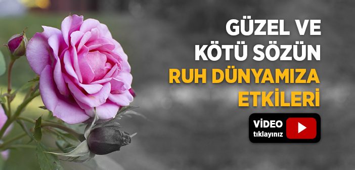 Güzel ve Kötü Sözün Ruh Dünyamıza Etkileri