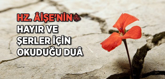 Hz. Aişe'nin Hayır ve Şerler İçin Okuduğu Dua