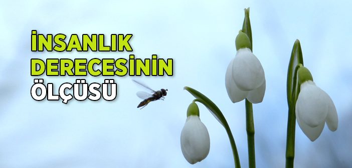 İnsanlık Derecesinin Ölçüsü