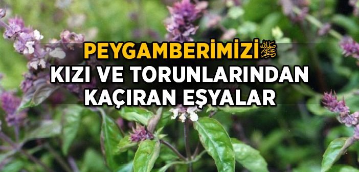 Peygamberimizi Kızı ve Torunlarından Kaçıran Eşyalar