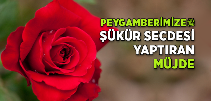 Peygamber Efendimiz’e Şükür Secdesi Yaptıran Müjde