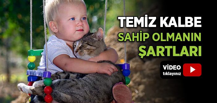 Kalb-i Selim Ne Demek? Kalb-i Selim Nasıl Elde Edilir?