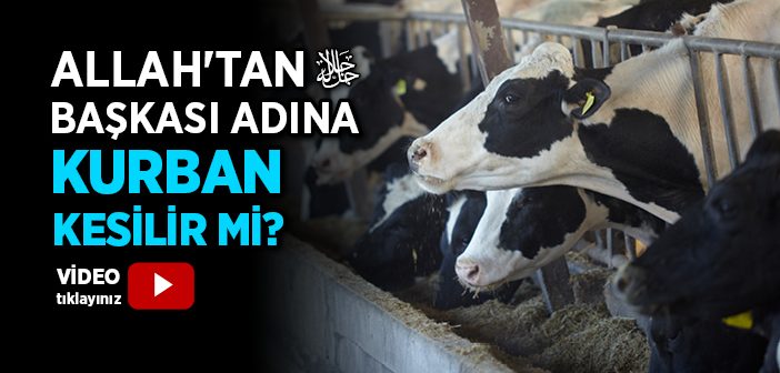 Allah'tan Başkası Adına Kurban Kesilir mi?