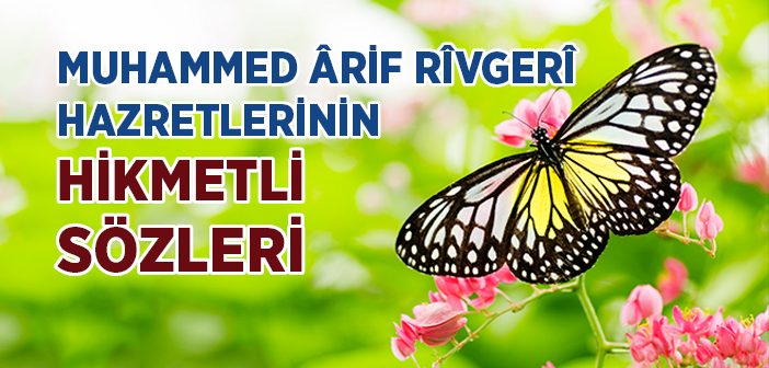 Muhammed Ârif Rîvgerî Hazretlerinin Hikmetli Sözleri