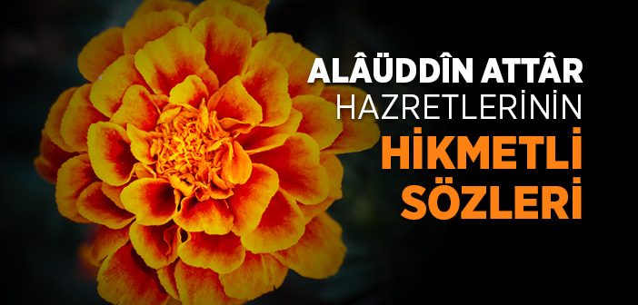 Alâüddîn Attâr Hazretlerinin Hikmetli Sözleri