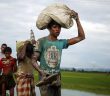 Arakanlı Müslümanlar Bangladeş'e Sığınıyor