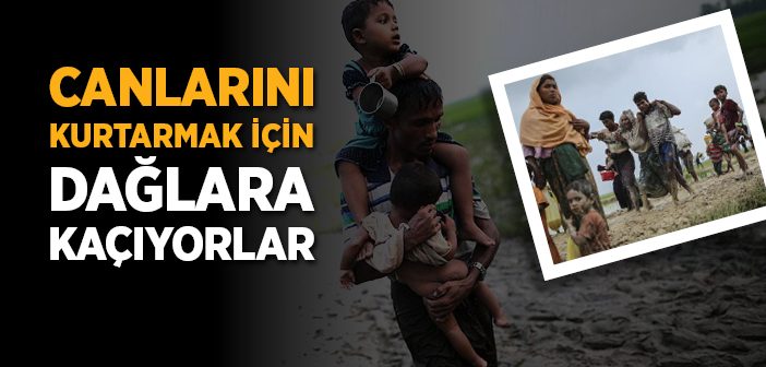 Arakanlı Müslümanlar Dağlara Kaçıyor