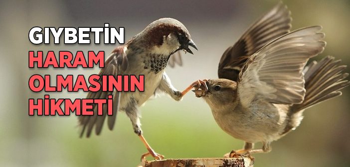 Gıybetin Haram Olmasının Hikmeti