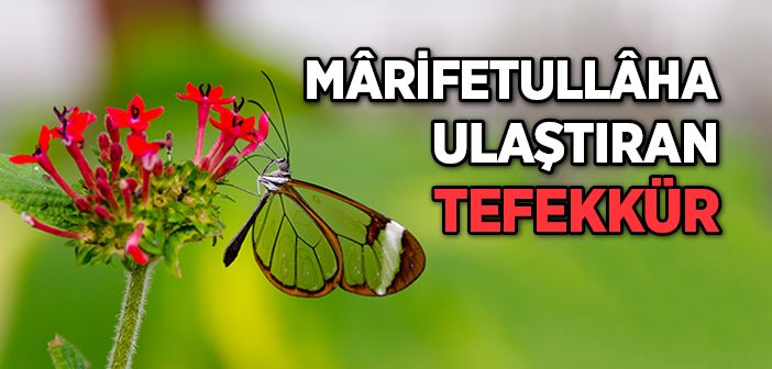 Marifetullaha Ulaştıran Tefekkür