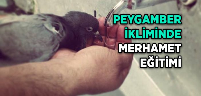 Merhamet Eğitimi Nedir?