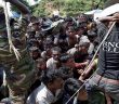 Sri Lanka’da Arakanlı Müslümanlara Saldırı