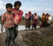 Arakan'da 150 Bin Müslüman Kaldı