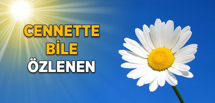 Cennette Bile Özlenen Nedir?