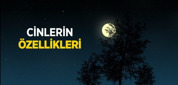 Cinler Alemi | Cinlerin Özellikleri Nelerdir?