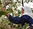 Çocuklarının Rızkını ‘doğadan’ Çıkardı