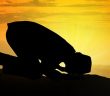 İki Hazine: Namaz ve Zikir