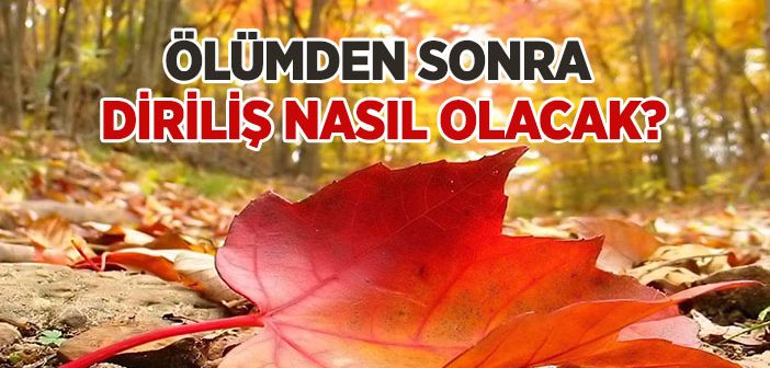 Ölümden Sonra Diriliş Nasıl Olacak?