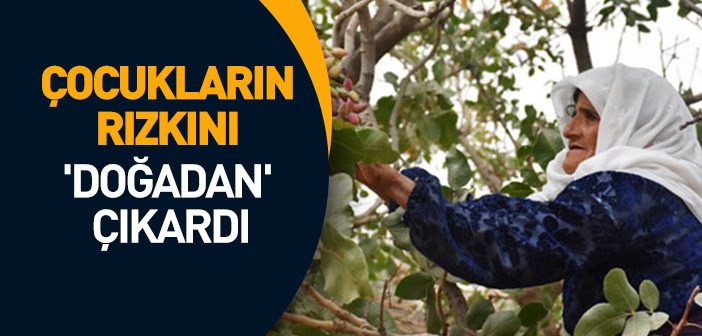 Çocuklarının Rızkını ‘doğadan’ Çıkardı