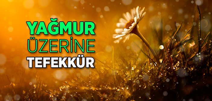 Yağmur Üzerine Tefekkür