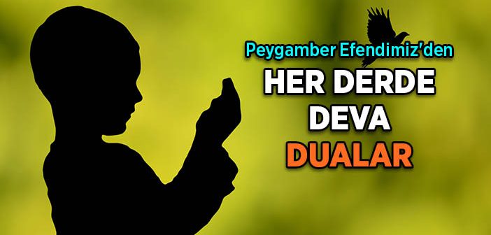 Her Derde Deva Dualar