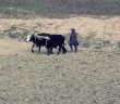 Dünyada Eşitsizlik Neyle Başladı?