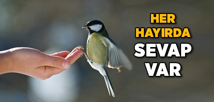 Her Hayırda Sevap Var