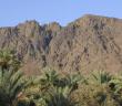 “Biz Uhud’u Severiz Uhud da Bizi Sever”
